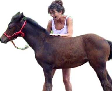 Artgerechte Pferdehaltung und Pferdeausbildung