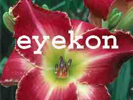 www.eyekon.ch  Varga Mihaly, 8006 Zrich.