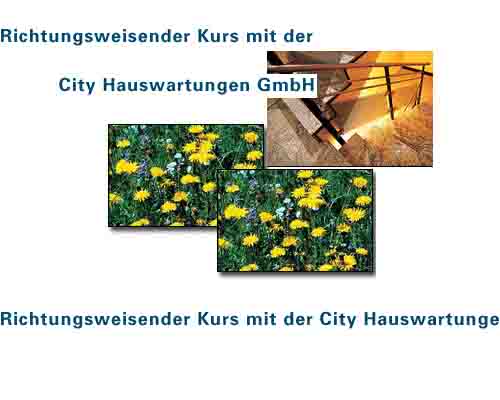www.city-hauswartungen.ch  City Hauswartungen
GmbH, 6052 Hergiswil NW.