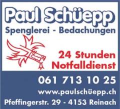 www.paulschepp.ch  :  Schepp Paul                                                 4153 Reinach BL