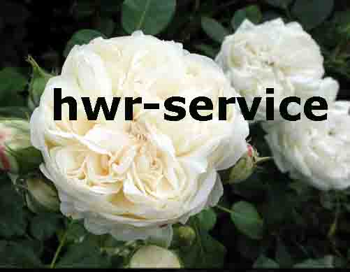 www.hwr-service.ch  HWR-Service Alvarez, 8064Zrich.