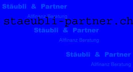 www.staeubli-partner.ch  Stubli &amp; PartnerAllfinanz Beratung, 8302 Kloten.