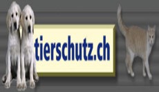 www.tierschutz.ch Portal mit Informations- und Linksammlungen zu Haustierhaltung und Tierschutz, 
Gesundheit und Erziehung