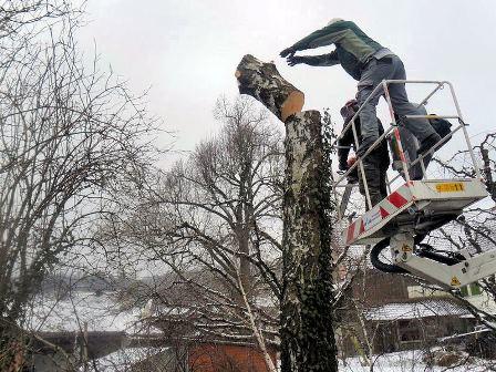 Gartenleben GmbH, 8200 Schaffhausen, Gartenbau, Gartenunterhalt