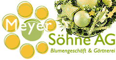 www.meyer-soehne.ch  Meyer Shne AG, 4125 Riehen.