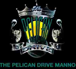 www.pelicandrive.ch        Pelican Drive Manno SA
,      6928 Manno