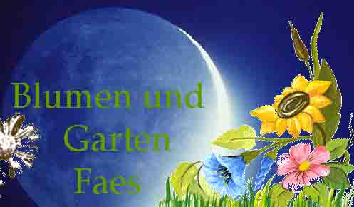 www.blumenfaes.ch  Faes Armin, 5040 Schftland.