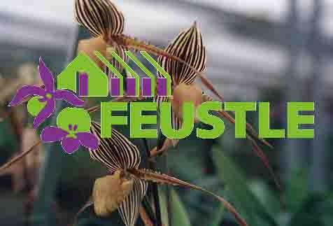 www.orchideen-zentrum.ch  Feustle AG
Orchideen-Zentrum, 8370 Sirnach.