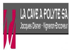 www.polyte.ch: la Cave  Polyte SA, 1955 Chamoson.