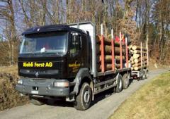 www.riebli-forst.ch : Riebli Forst AG 6072 Sachseln : Holzfäller ...