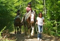 Toskana: Wandern, reiten, biken - kinderfreundliche Ferienwohnungen mit Pool und Pferden
