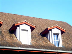 Dach mit alten Biberschwanz-Ziegeln 