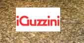 IGuzzini Illuminazione Schweiz AG