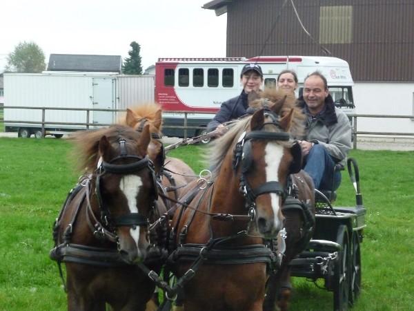 Fahrunterricht mit Kutsche Ponyreiten Dualaktivierung TGT