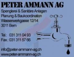www.peter-ammann-ag.ch  :  Ammann Peter AG                                                           
  3011 Bern