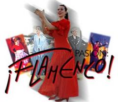 www.pasion-flamenco.ch  :  A Pasion Flamenco                                                         
    4056 Basel