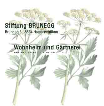 www.stiftung-brunegg.ch  Stiftung BRUNEGG, 8634Hombrechtikon.