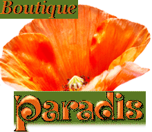 Boutique Paradis,   1260 Nyon, Fleuriste :
bouquets de roses et de fleurs de saison.  