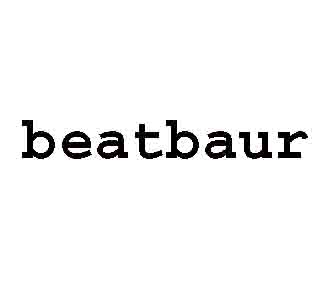 www.beatbaur.ch  Beat Baur, 3011 Bern.
