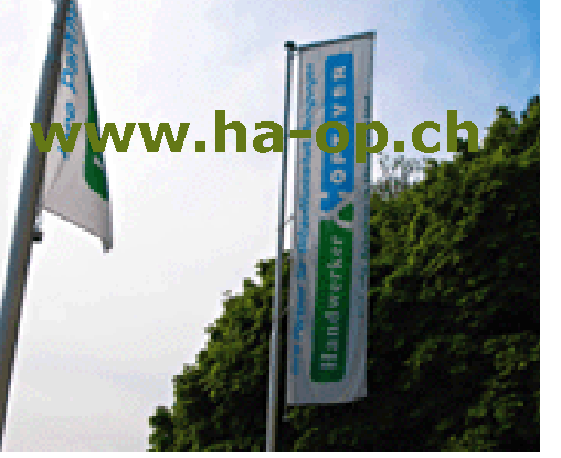 www.ha-op.ch  Handwerker & OPTIVER GmbH, 4142
Mnchenstein.
