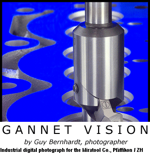 www.gannetvision.ch  Bernhardt Guy, 8340 Hinwil.