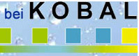 www.kobal.ch: Kobal Sanitr GmbH               5726 Unterkulm